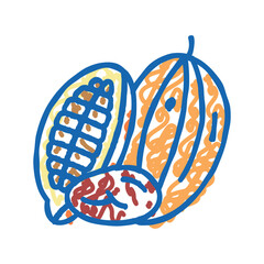cocoa nut icon doodle illustration