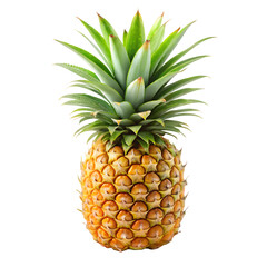 Pineapple Fruit Cutout on White Background
