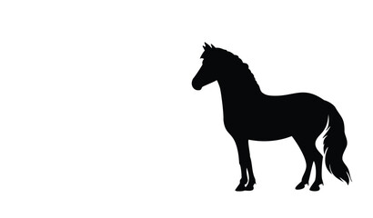 horse silhouette isolated on white