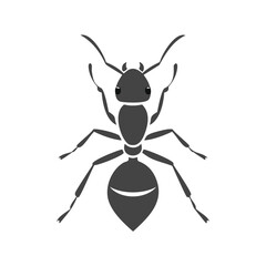 vector illustration of a cartoon bug