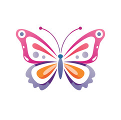 butterfly on white background