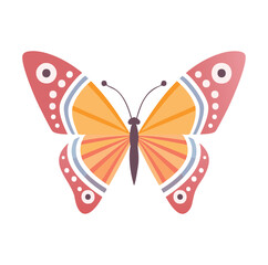 butterfly isolated on white background