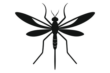 dragonfly on a white background