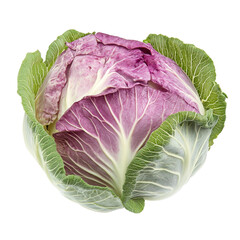 Obraz premium A fresh vibrant purple cabbage, with a close-up view