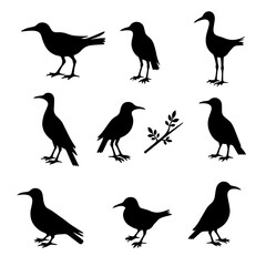 Set of silhouettes of birds