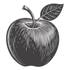Classic Engraved Black and White Drawing of a Whole Apple
