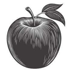 Classic Engraved Black and White Drawing of a Whole Apple
