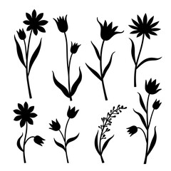 Set of flowers vector