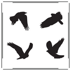 Osprey silhouette, Osprey illustration , Osprey clipart, Osprey vector , Osprey icon , black Osprey, Osprey illustration on white background, Osprey vector illustration ,
