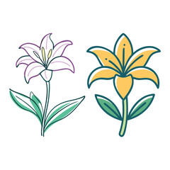 vector illustration of a lily flower