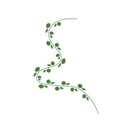 Plant Leaves Shape Organic