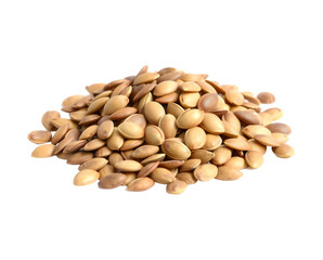 Dry pumpkin seeds pile on transparent background 