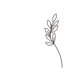 Simple line art floral branch, black on white, for branding-Copy space
