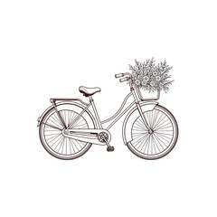 Bicycle with flowers in basket, line art, brown tones, for springtime design