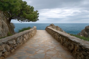 Fototapeta premium Stone Path by the Sea with Tree on Cliff