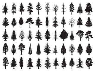 Redwood Icon Majestic Trees of Nature.eps