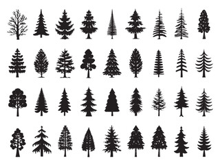 Naklejka premium Redwood Icon Beauty of the Wilderness.eps