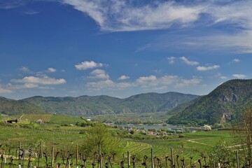 Weingüter in der Wachau, Österreich im Frühling