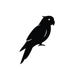 parrot silhouette vector, parrot bird icon clip art 