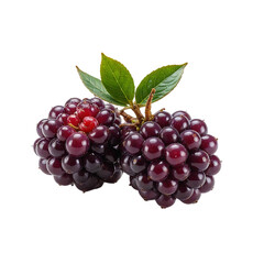 Close-up of Two Juicy Dark Berries with Green Leaves