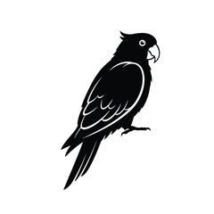 parrot silhouette vector, parrot bird icon clip art 