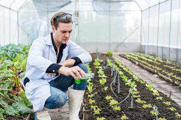 Scientists are conducting experiments in vegetable plots. Science farmers are checking water conditions during planting.