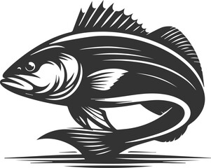 Sea bass fish vector silhouette