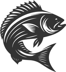 Sea bass fish vector silhouette