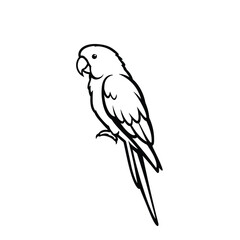 parrot silhouette vector, parrot bird icon clip art 
