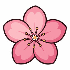 cherry blossom flower vector illustration