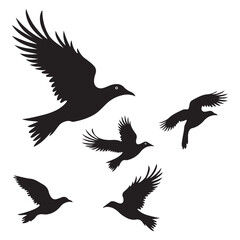 Vector set of flying birds. Usually stylized or realistic silhouettes of birds flying in the air. vector illustration eps 10