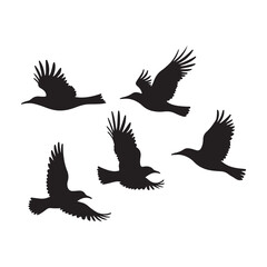 Vector set of flying birds. Usually stylized or realistic silhouettes of birds flying in the air. vector illustration eps 10