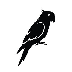 parrot silhouette vector, parrot bird icon clip art 