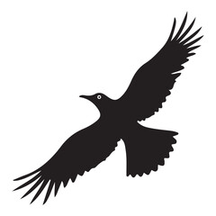 Flying bird vector. illustration eps 10