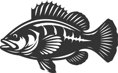 Fototapeta premium Sea bass fish vector silhouette