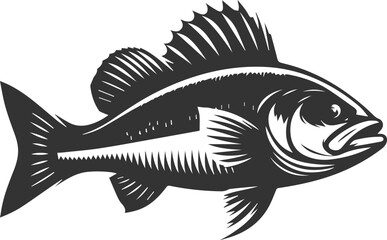 Sea bass fish vector silhouette