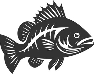 Sea bass fish vector silhouette