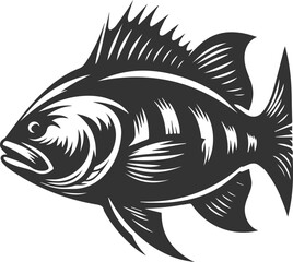 Sea bass fish vector silhouette