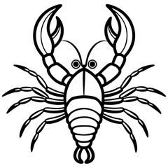 spider on a white background