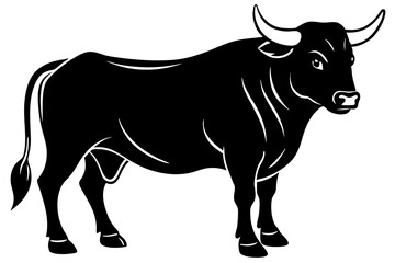 black and white cow