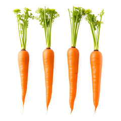Fresh carrots with green tops isolated on transparent background