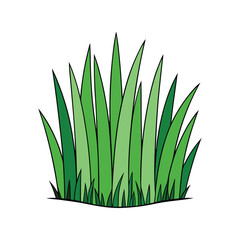 Grass vector illustration, green lawn or field element for landscape design, nature background and gardening clipart