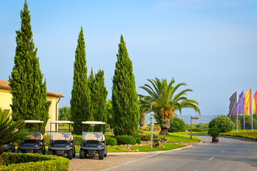 Luxury golf resort entrance with golf carts and palm trees Peaceful morning view at a luxury golf resort featuring golf carts, tall cypress trees