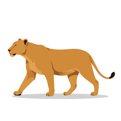 Flat vector illustration of a walking lioness