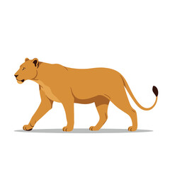 Flat vector illustration of a walking lioness