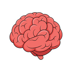 Brain clipart vector illustration, detailed human brain design for education, anatomy, science, and cognitive health