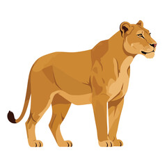 Obraz premium Flat vector illustration of a walking lioness