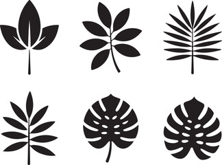 Obraz premium Tropical Leaf icon set silhouette vector illustration on transparent background.