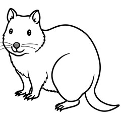 Minimal Vector Art – Quokka Edition