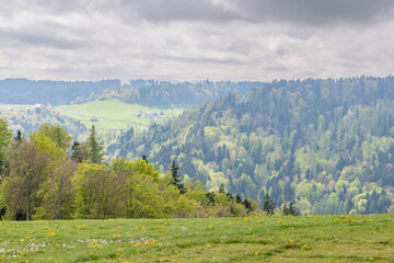 landscape in the mountains. view from the gurten.